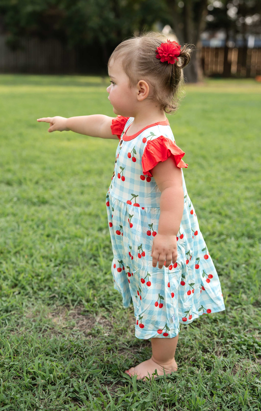 Cherry Picnic ~Twirl Dress